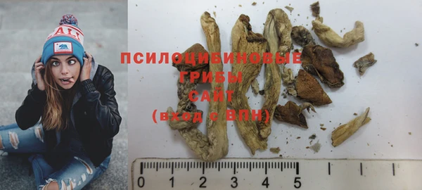 прущая мука Ельня