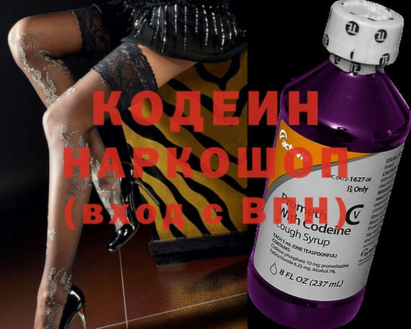 крисы Елабуга