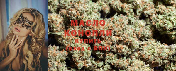 крисы Елабуга