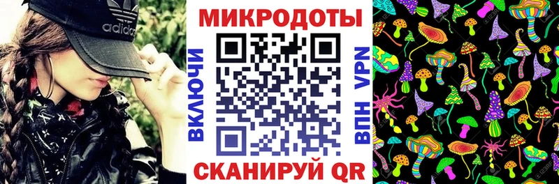Псилоцибиновые грибы Psilocybe  Купить  Рузаевка 